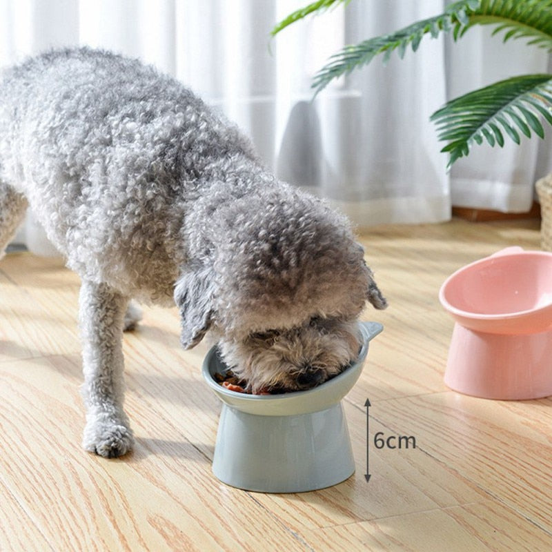 Pet Elevated Dog/Cat Bowl - 45°Neck Protector Pet Food/Water Bowl - Anti-overturning